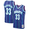 Alonzo Stylish Mourning Charlotte Hornets 1994/95 Hardwood Classics Swingman Jersey Purple for Basketball Enthusiasts