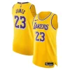 LeBron James Los Angeles Lakers Nike Authentic Player Jersey Icon Fabulous Edition Gold Great for Fans