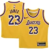 LeBron James Los Angeles Lakers Nike Preschool Dri FIT Swingman Elegant Player Jersey Icon Edition Gold Must - Have for Jerseys Lovers