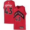 Pascal Siakam Toronto Eye - catching Raptors Nike Youth 2021/22 Diamond Swingman Jersey Icon Edition Red for Basketball Enthusiasts