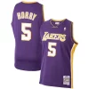 Robert Horry Elegant Los Angeles Lakers 1999/00 Hardwood Classics Swingman Jersey Purple for Basketball Enthusiasts